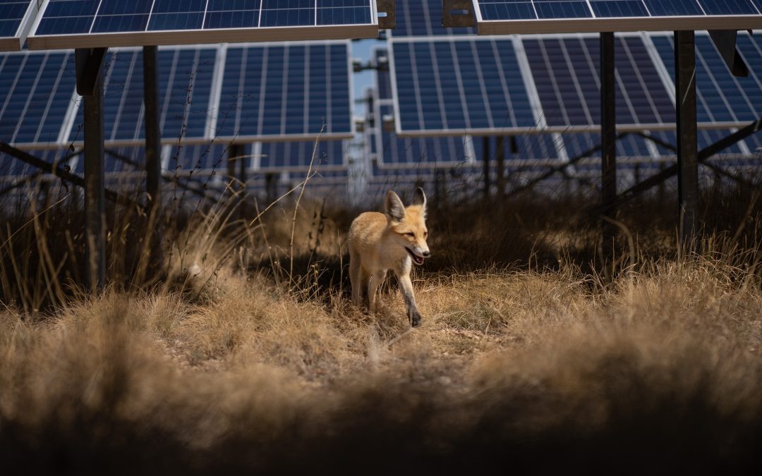 Turkey’s open-cast coal mines can host enough solar to power almost seven million homes